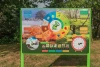 Naukowe place zabaw - Tablica edukacyjna 4 pory roku (jednostronna)