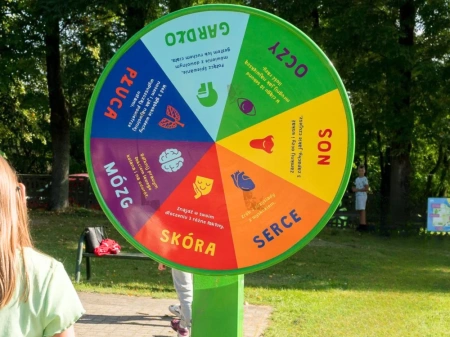 Naukowe place zabaw - Koło optyczne - Tematyczne