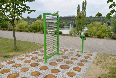 Naukowe place zabaw - Czyja to twarz (A kto to?)