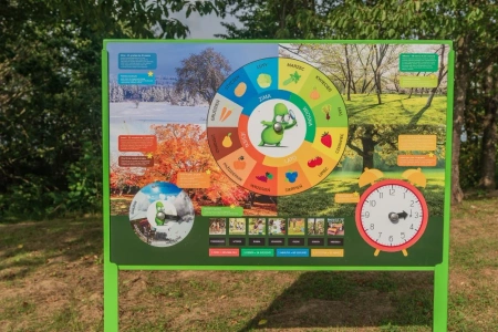 Naukowe place zabaw - Tablica edukacyjna 4 pory roku (jednostronna)