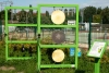 Naukowe place zabaw - Panel muzyczny