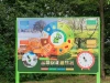 Naukowe place zabaw - Tablica edukacyjna 4 pory roku (jednostronna)